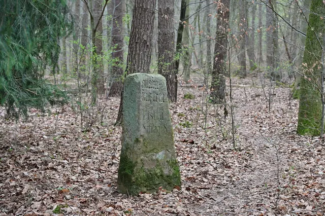 Der letzte von 13 Jagdbegrenzungssteinen  im Stadtwald. Hier wurden die Grenzen der Gemeinden und des Königreichs aufgeteilt | Foto: Michael Harmsen