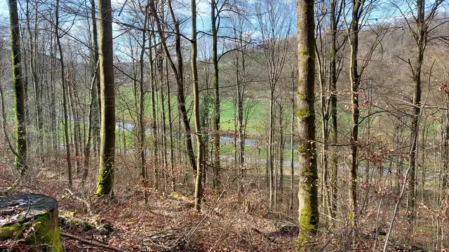 Blick ins Kochertal | Foto: Elfriede Baier 