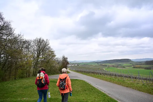 Nun geht es durch die Weinberge Richtung Lehrensteinsfeld und zum Durchlaß. | Foto: Michael Harmsen