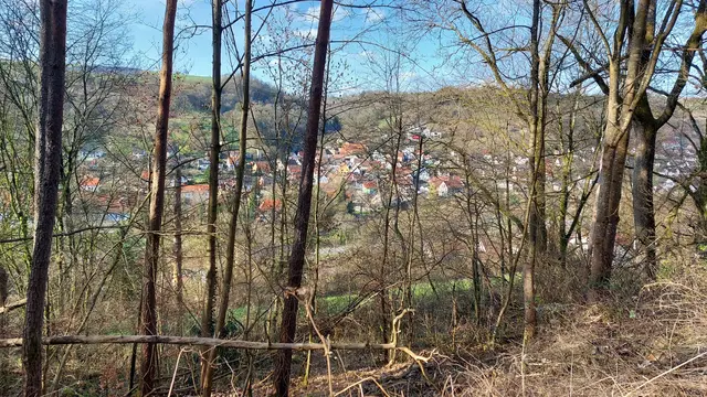Blick nach Ernsbach  | Foto: Elfriede Baier 