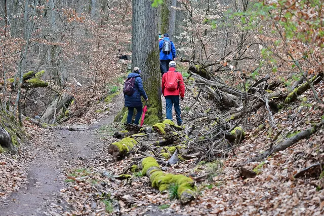 Links ist es matschig, deshalb gehen wir rechts rum. | Foto: Michael Harmsen
