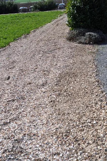 Mal ein etwas anderer Wegebelag | Foto: Daniela Somers