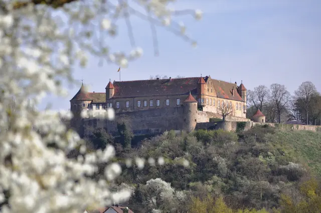 Noch hat man einen wunderschönen Blick auf Burg Stettenfels | Foto: Daniela Somers