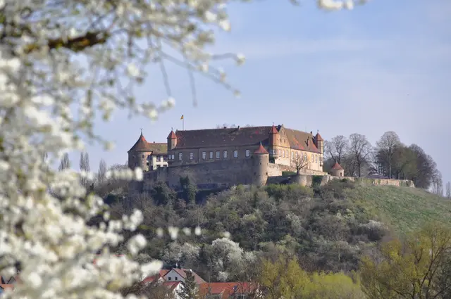 Mit der Burg im Rücken gehts über die Felder nach Abstatt | Foto: Daniela Somers