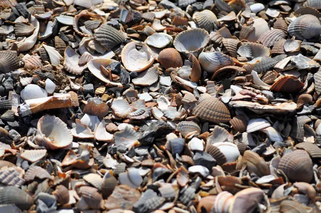 Und so sieht der Wegebelag aus der Nähe aus. | Foto: Daniela Somers