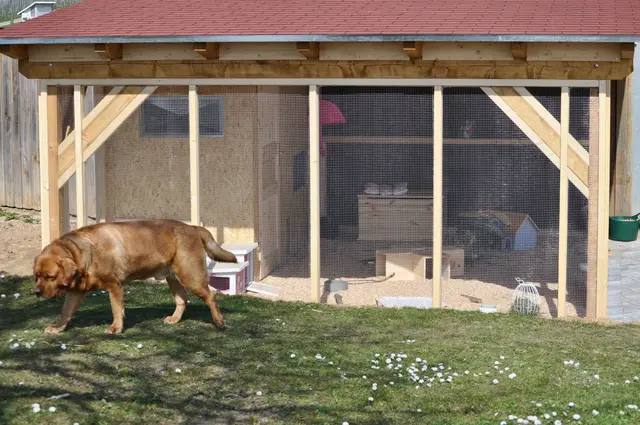 Der Hofhund hatte kein Problem mit uns | Foto: Daniela Somers