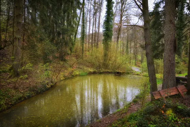 Ein verwunschener Ort? | Foto: Michael Harmsen