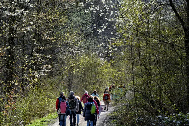 Der Frühling hält Einzug im Stadtwald. | Foto: Michael Harmsen