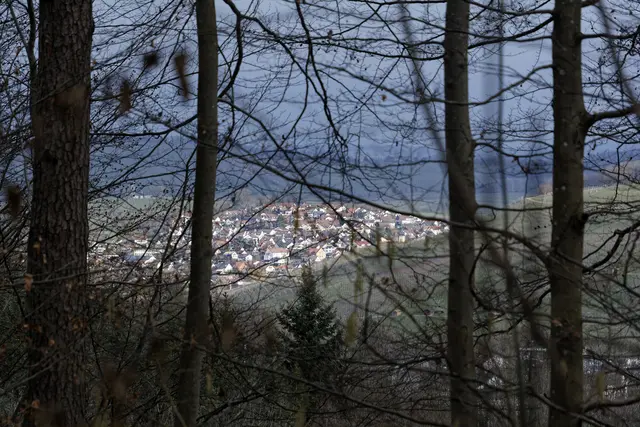 Erlenbach zwischen den Bäumen. | Foto: Michael Harmsen