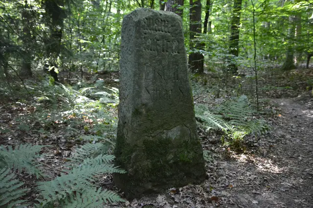 Der letzte von 13 Jagdbegrenzungssteinen  im Stadtwald.  | Foto: Michael Harmsen