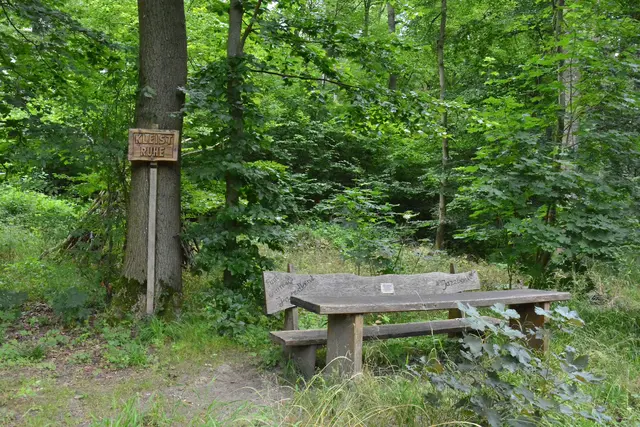 Ob Herr Kleist hier wirklich jemals war? | Foto: Michael Harmsen