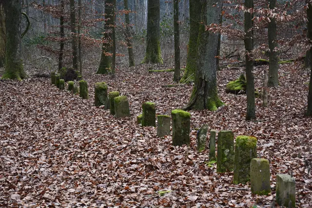 Der alte Hundefriedhof der Heilbronner Revierförster. | Foto: Michael Harmsen