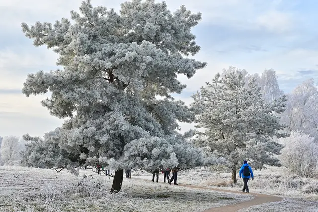 So schön kann wandern im Winter sein. | Foto: Michael Harmsen