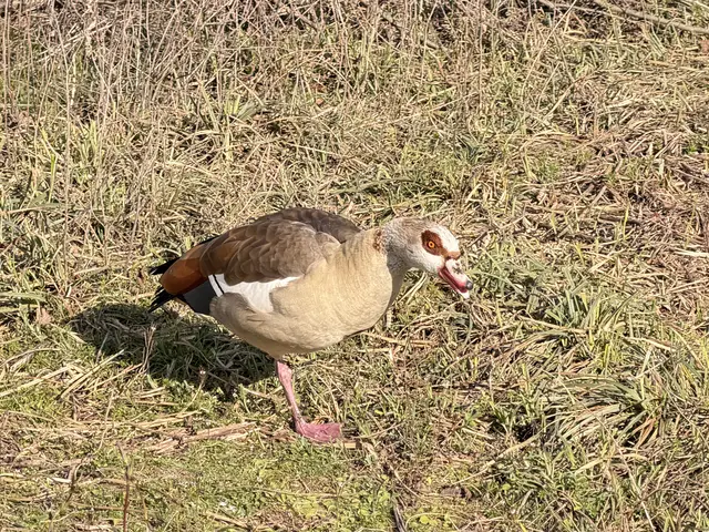 Foto: Heide Böllinger aus Bad Friedrichshall
