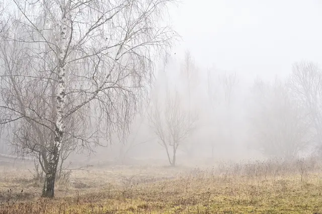 Der Nebel hat auch seinen Reiz. | Foto: Michael Harmsen