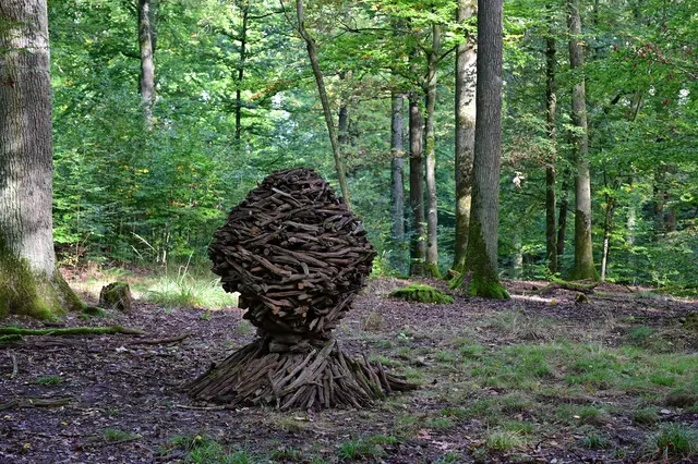 Eichenastmonument von Klaus Waldbüßer. | Foto: Michael Harmsen