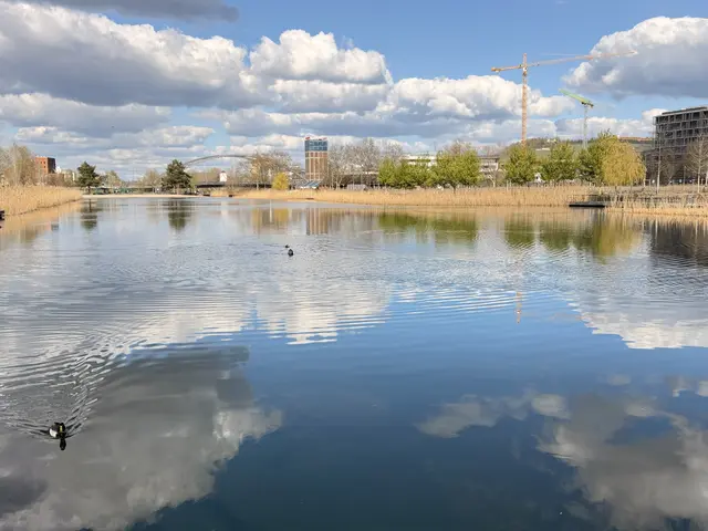 Foto: Heide Böllinger aus Bad Friedrichshall