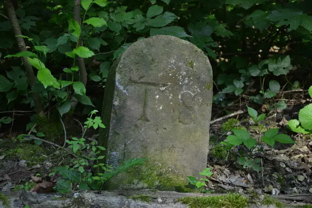Ein Triebstein am Paradiesweg. Diese markierten die Grenze eines Weiderechts der Stadt Weinsberg auf der Gemarkung Heilbronn. | Foto: Michael Harmsen