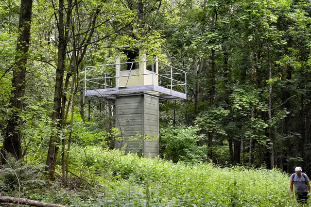 Ein alter Wachturm der US-Armee. Den haben sie wohl vergessen abzureißen. | Foto: Michael Harmsen