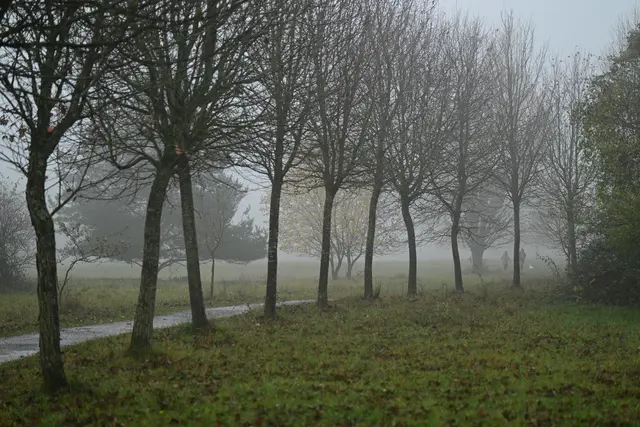 Auch im Nebel kann man schön wandern. | Foto: Michael Harmsen