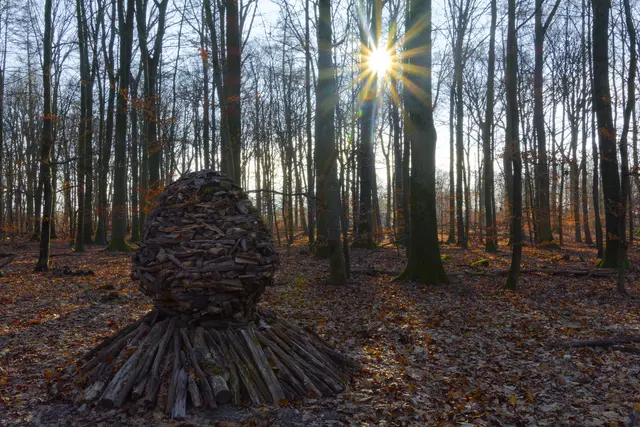 Landart Kunstwerk von Klaus Waldbüßer in einem Eichenhain. | Foto: Michael Harmsen