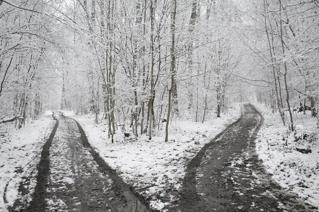 Quo vadis? Links oder Rechts? | Foto: Michael Harmsen