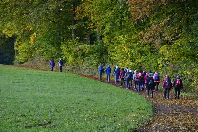 Der Herbst naht, auch im Stadtwald. | Foto: Michael Harmsen