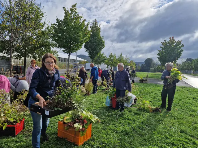 Die Pflanzentauschbörse ist eine gemeinschaftliche Initiative zur Förderung von Nachhaltigkeit, Nachbarschaft und Biodiversität. Sie bietet eine ideale Gelegenheit, Wissen auszutauschen, neue Kontakte zu knüpfen und die Vielfalt heimischer Pflanzen zu entdecken. | Foto: ssc