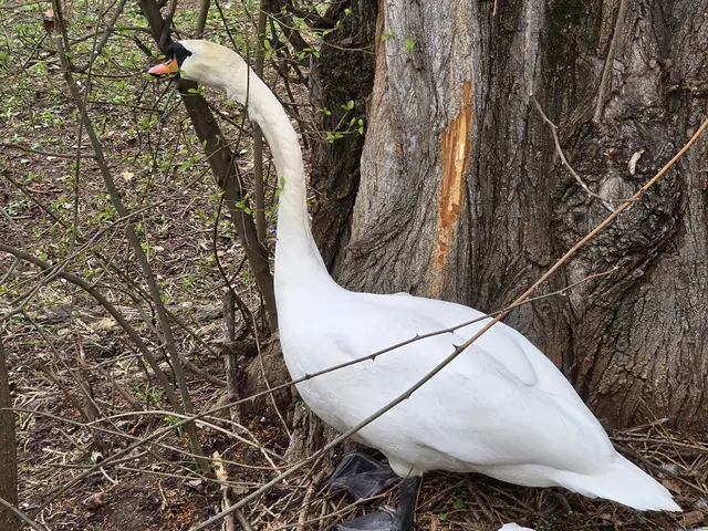 Foto: Heidrun Rosenberger
