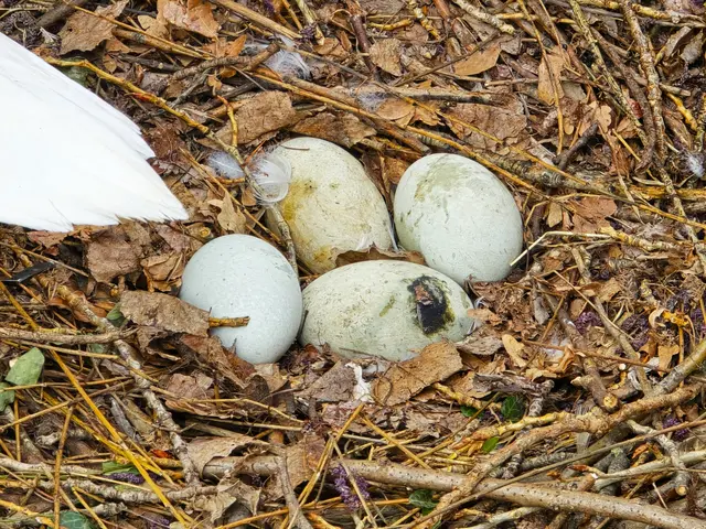 Foto: Heidrun Rosenberger