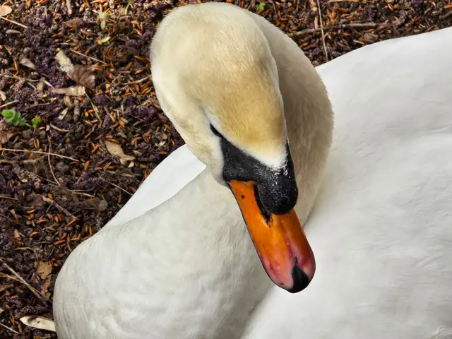 Foto: Heidrun Rosenberger