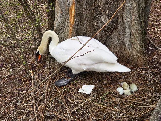 Foto: Heidrun Rosenberger