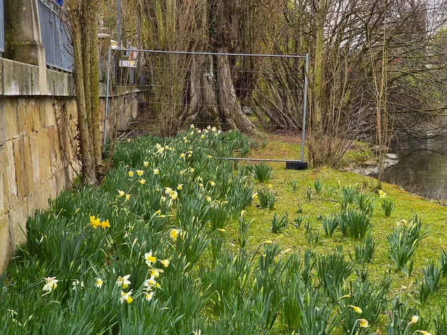 Foto: Heidrun Rosenberger