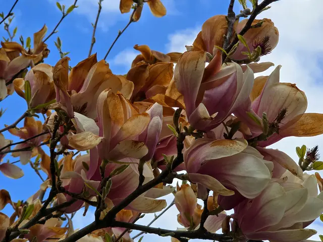 Foto: Heidrun Rosenberger