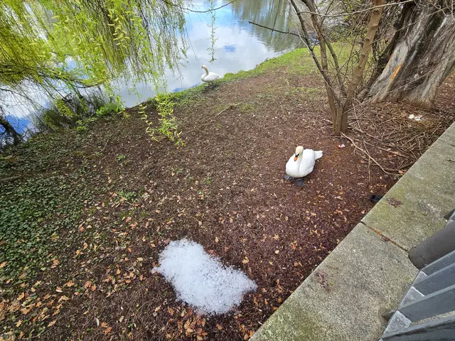 Woher kommt die riesige Menge Eiswürfel, was soll das? | Foto: Heidrun Rosenberger