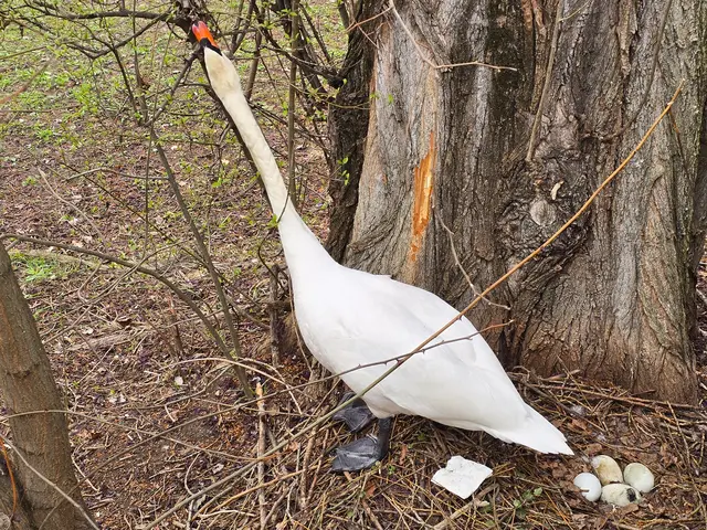 Foto: Heidrun Rosenberger