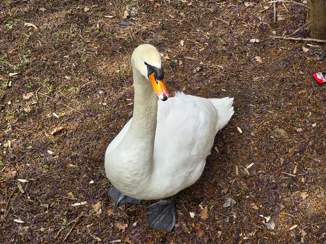 Foto: Heidrun Rosenberger