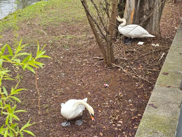 Foto: Heidrun Rosenberger