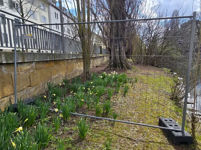 Foto: Heidrun Rosenberger