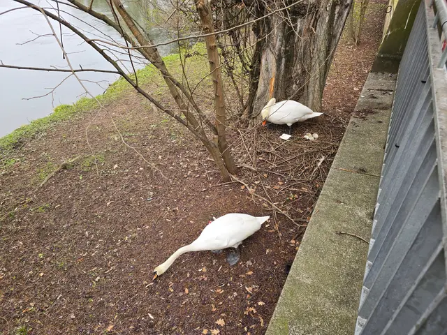 Foto: Heidrun Rosenberger