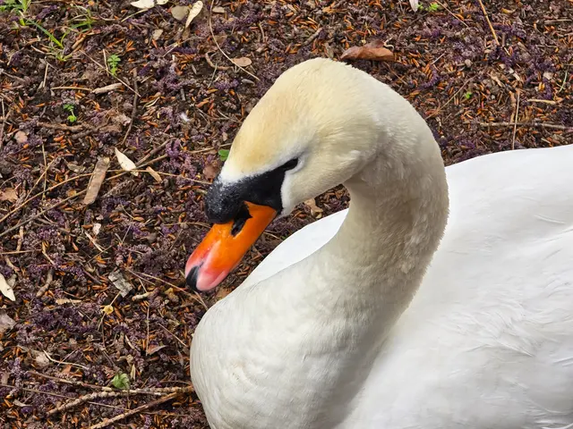 Foto: Heidrun Rosenberger