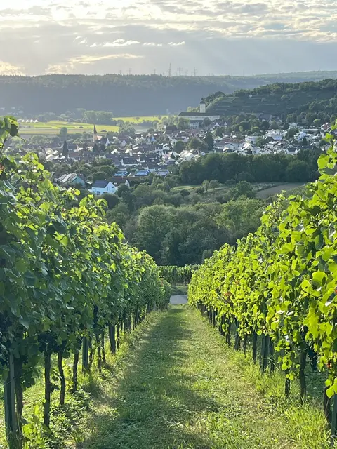 Foto: Werner Steigleder