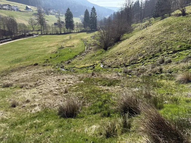 Foto: SAV OG Talheim