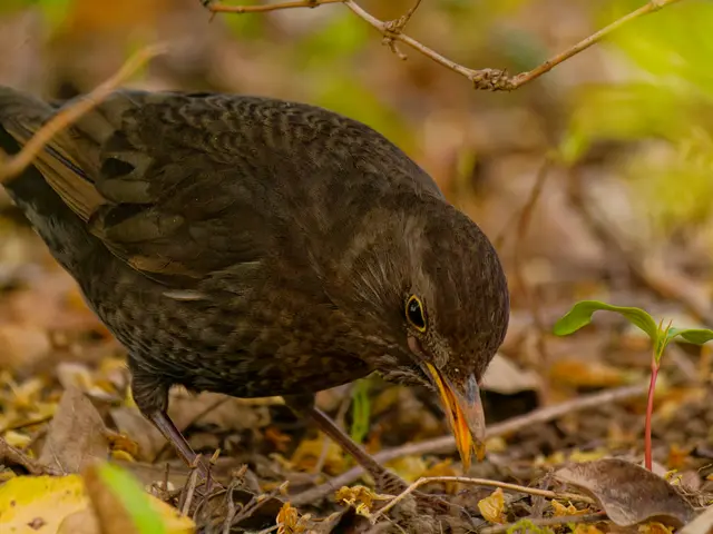 Foto: Eigenes Bild TB