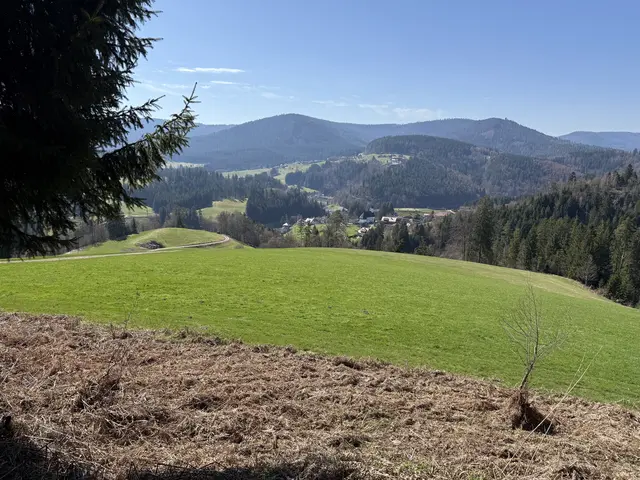 Foto: SAV OG Talheim