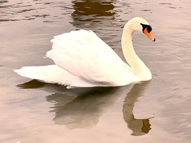 Foto: Heide Böllinger aus Bad Friedrichshall