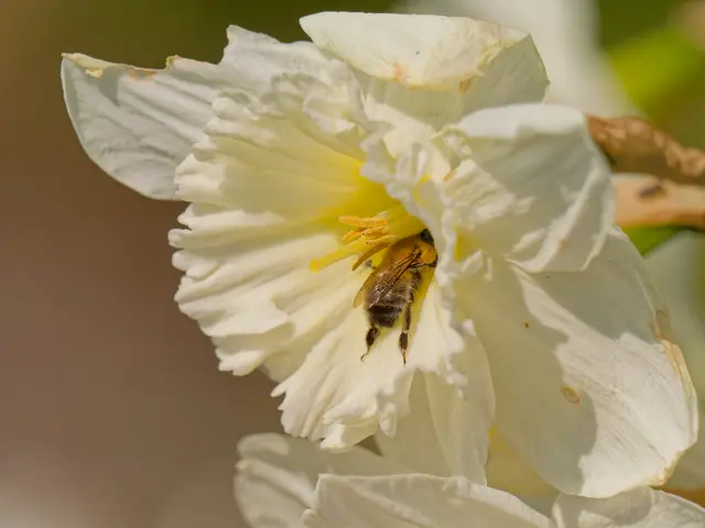 Foto: Eigenes Bild TB