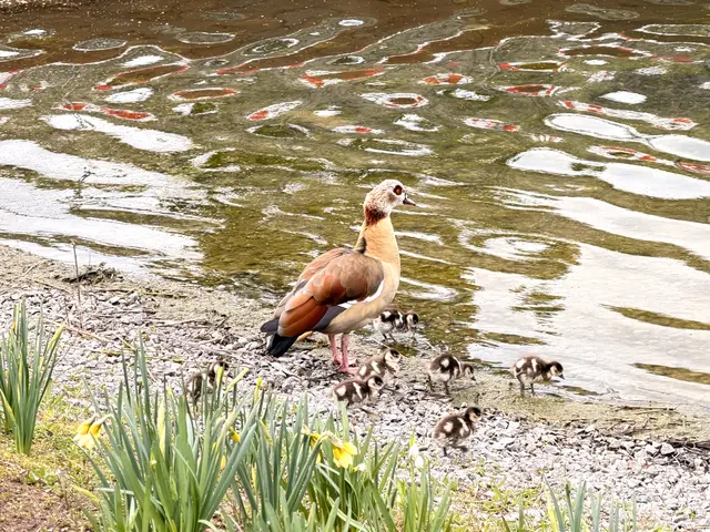 Foto: Heide Böllinger aus Bad Friedrichshall