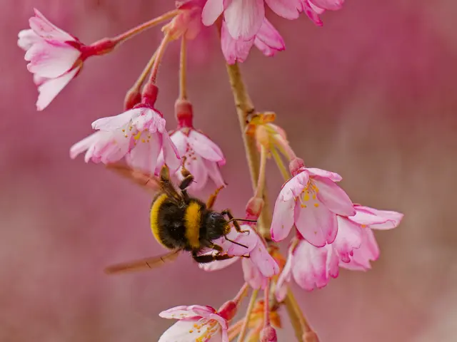 Foto: Eigenes Bild TB