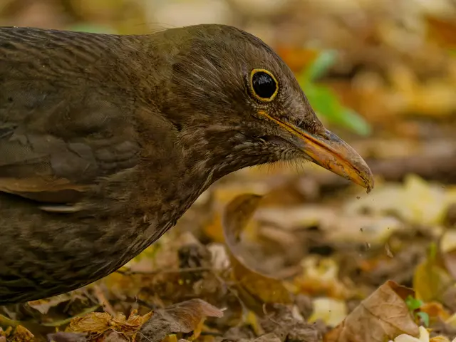 Foto: Eigenes Bild TB